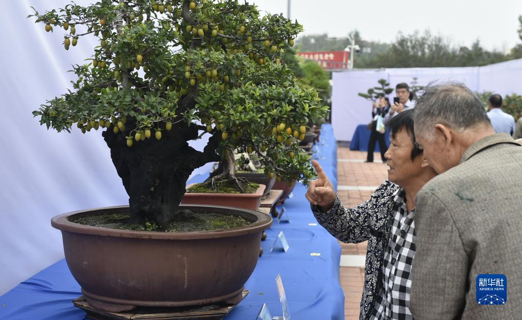 华纳娱乐平台